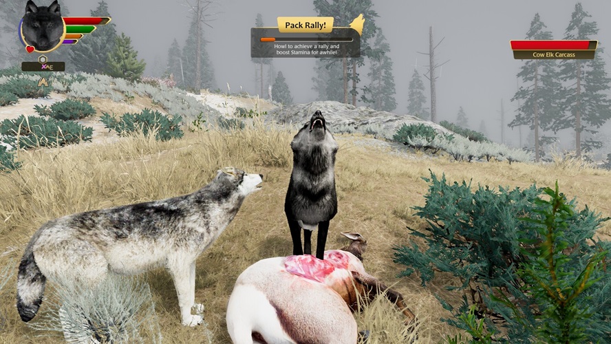WolfQuest Anniversary Edition